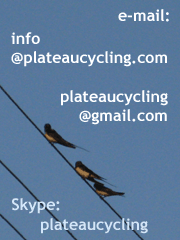 e-mail and skype